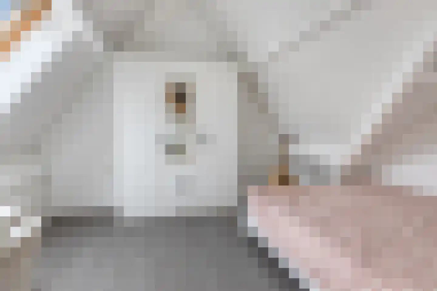 Gruttostraat 9 Bruchem thumbnail 39