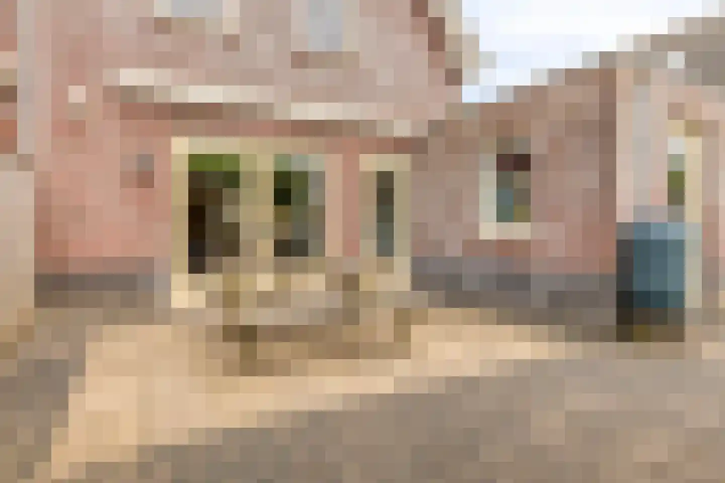 Gruttostraat 9 Bruchem thumbnail 42