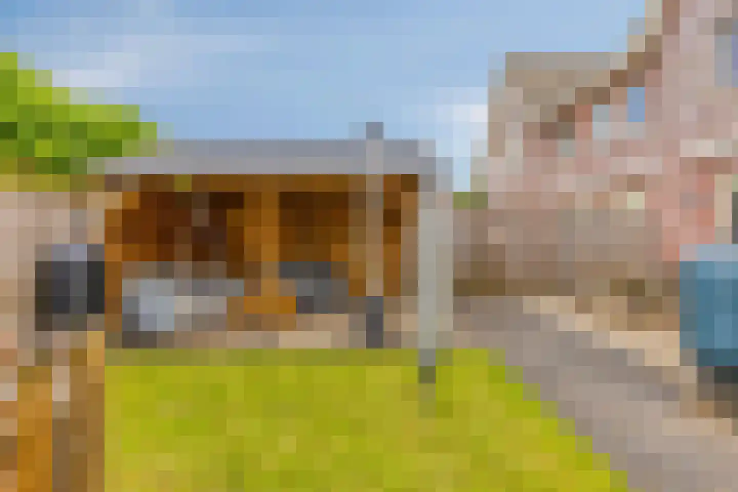 Gruttostraat 9 Bruchem thumbnail 45