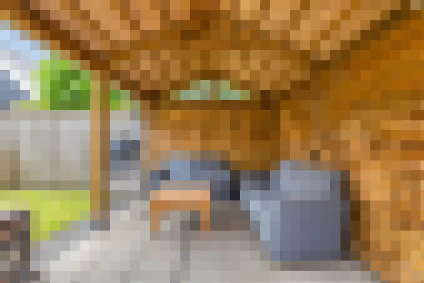 Gruttostraat 9 Bruchem thumbnail 47