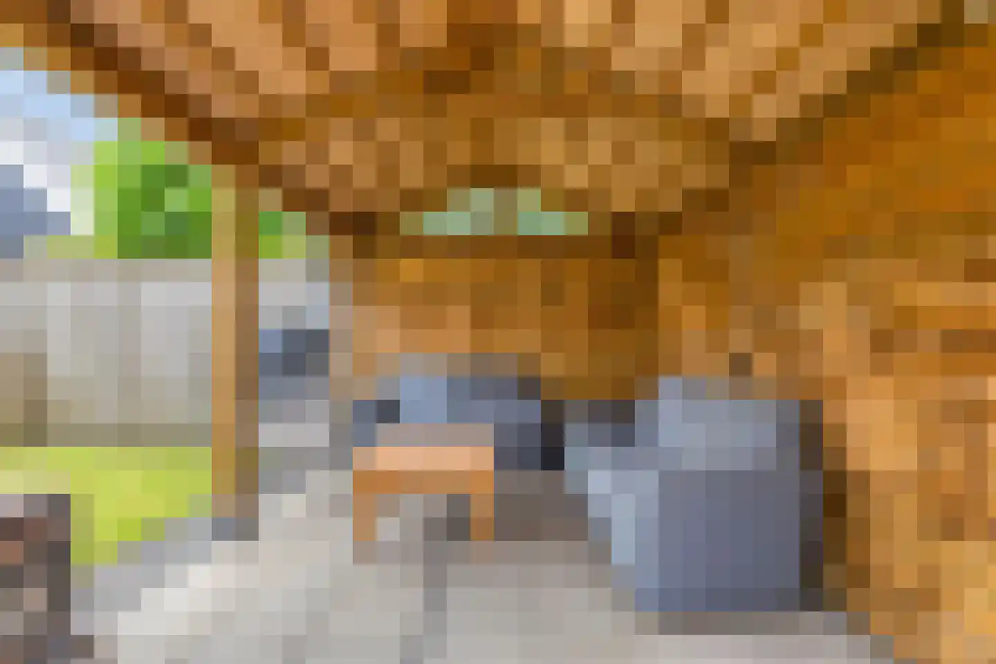 Gruttostraat 9 Bruchem thumbnail 47