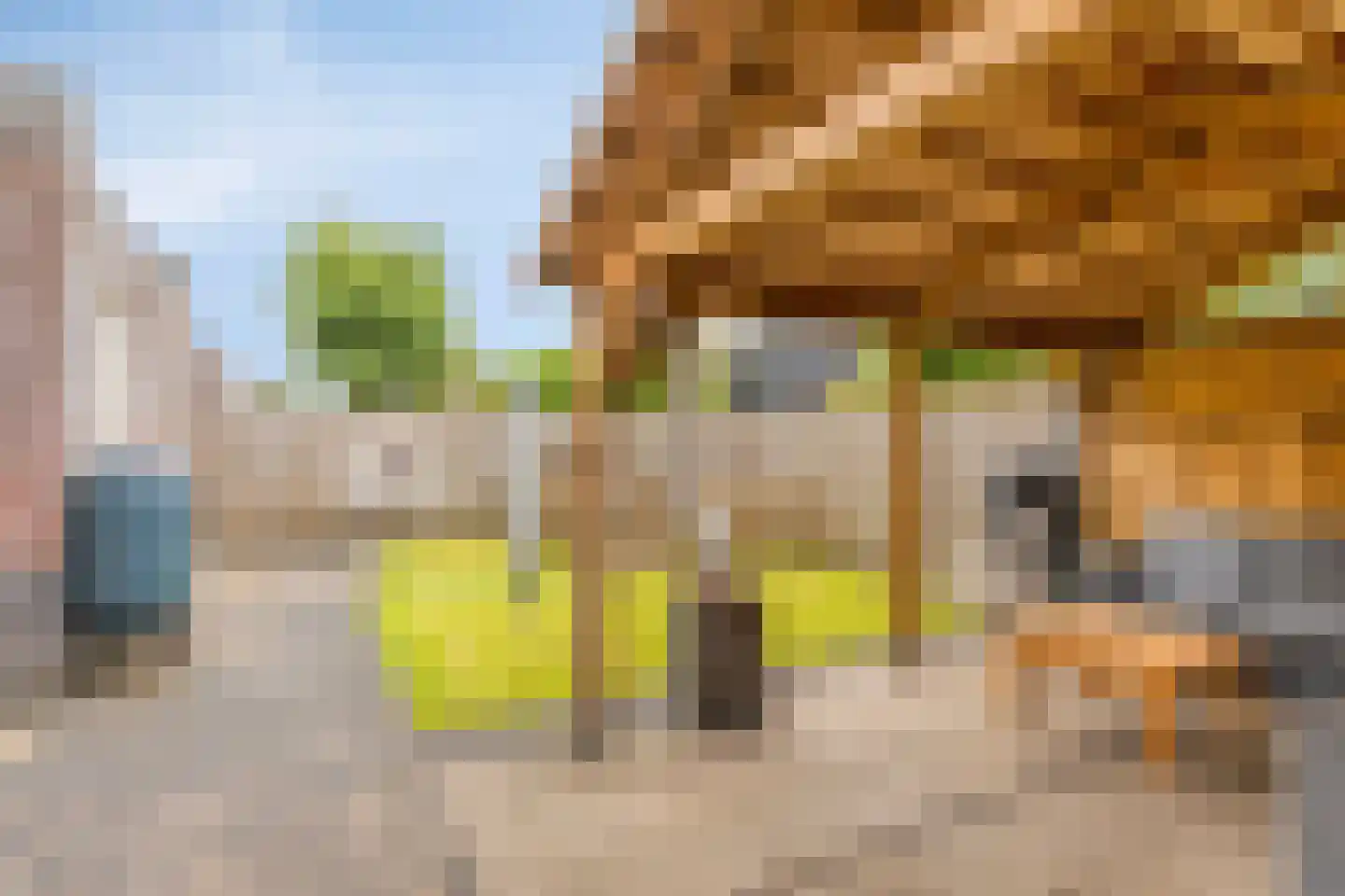 Gruttostraat 9 Bruchem thumbnail 48