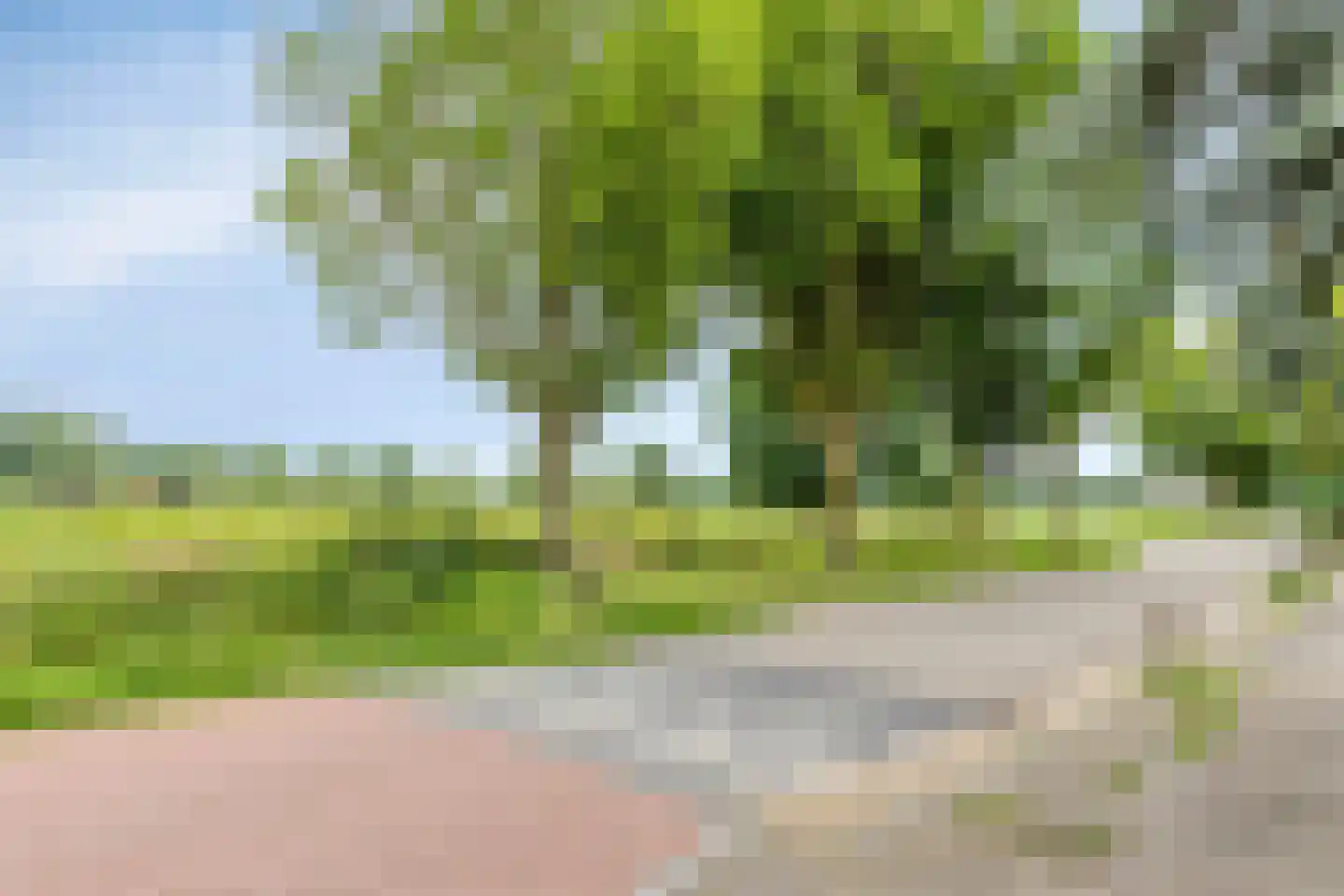 Gruttostraat 9 Bruchem thumbnail 49
