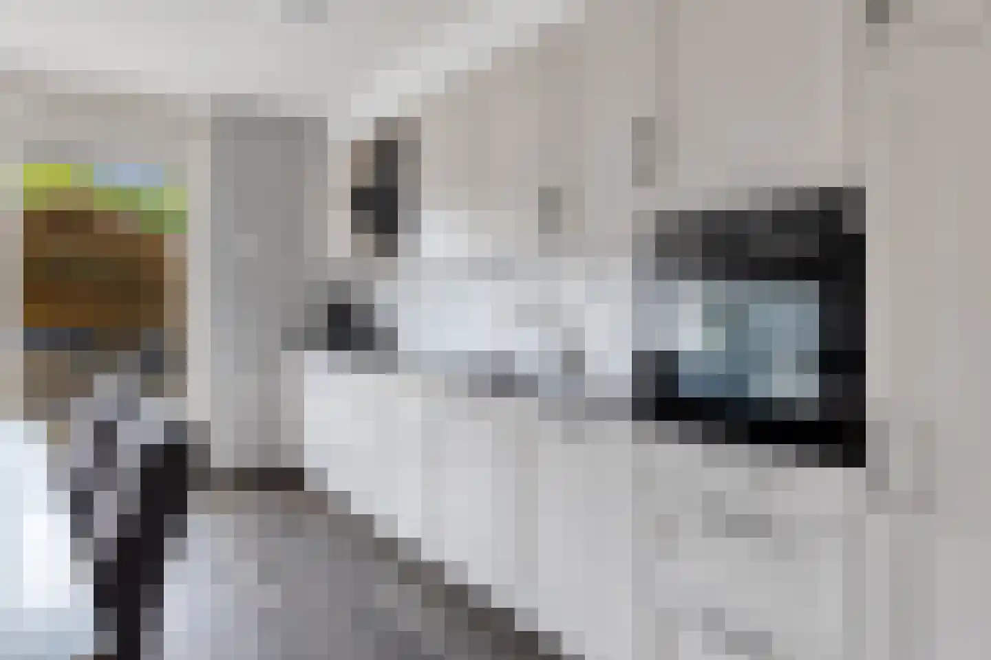 Gruttostraat 9 Bruchem thumbnail 5
