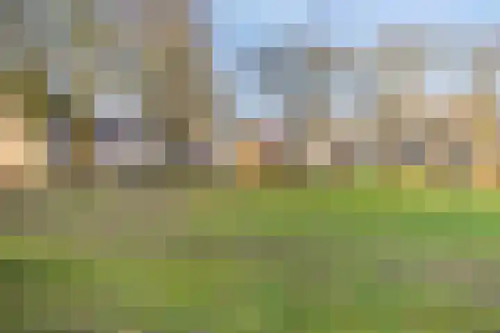 Gruttoweide 104 Wageningen thumbnail 26