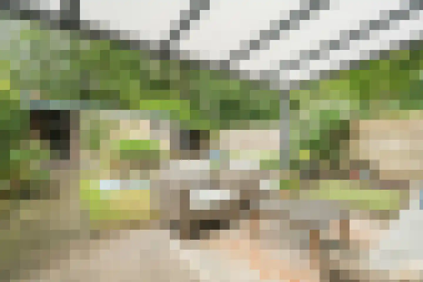 Gruttoweide 123 Wageningen thumbnail 26