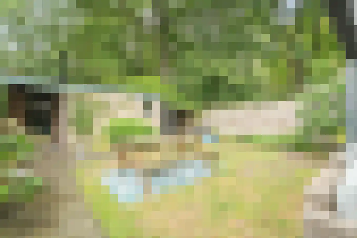 Gruttoweide 123 Wageningen thumbnail 27