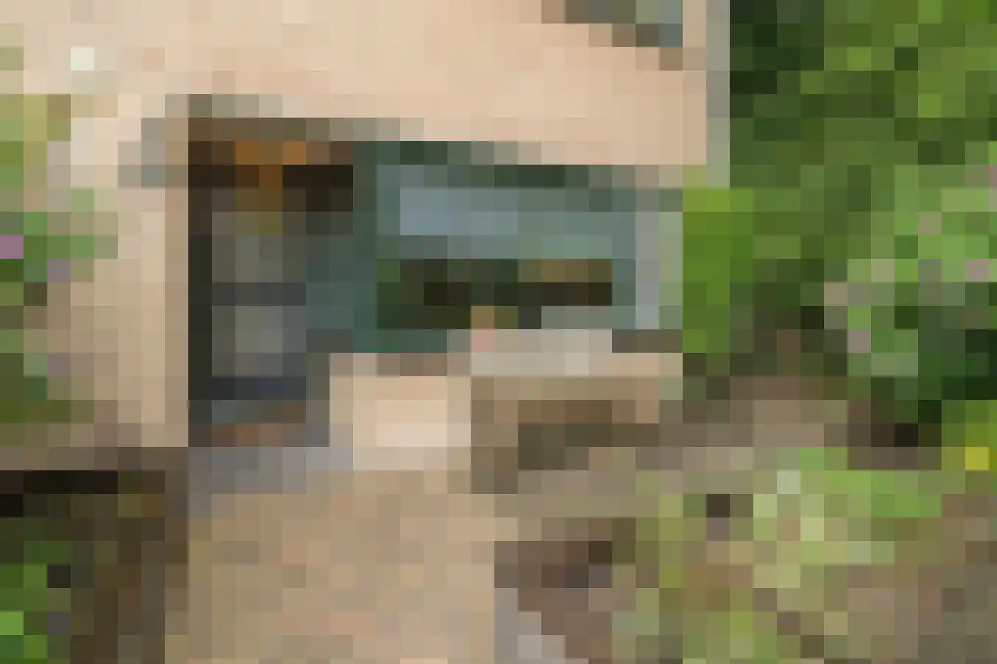 Gruttoweide 123 Wageningen thumbnail 4