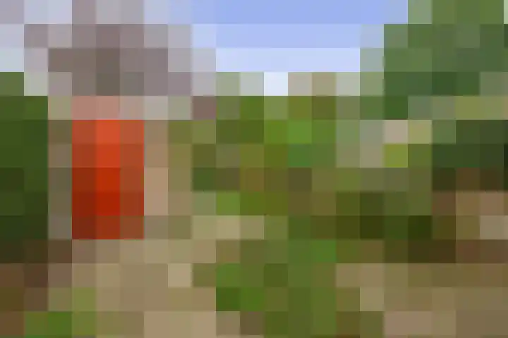 Gruttoweide 134 Wageningen thumbnail 27