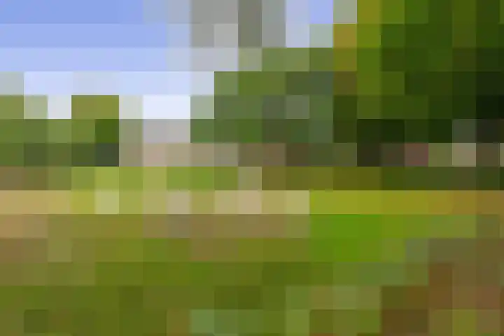 Gruttoweide 134 Wageningen thumbnail 31