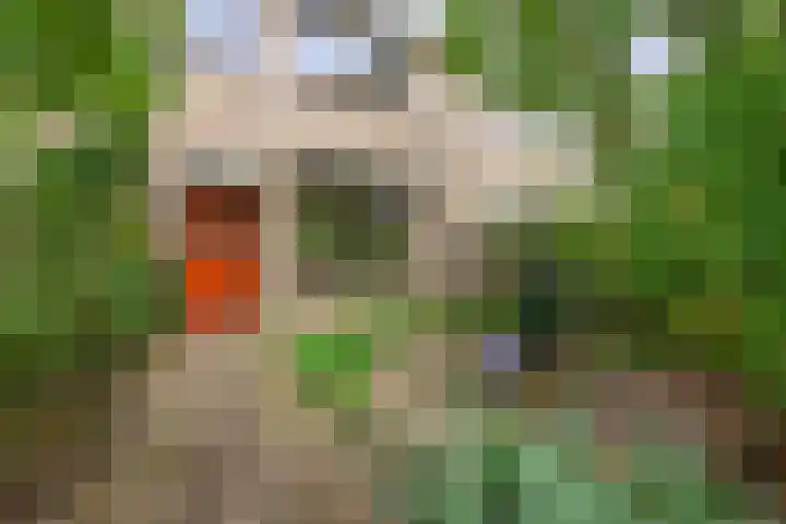 Gruttoweide 134 Wageningen thumbnail 4