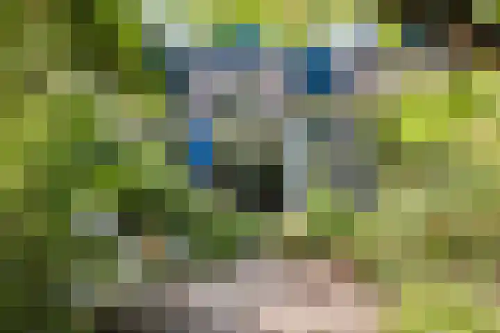 Gruttoweide 207 Wageningen thumbnail 43