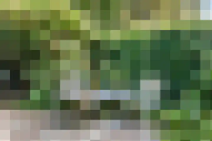Gruttoweide 207 Wageningen thumbnail 44