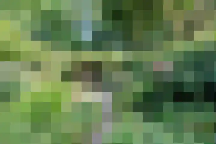 Gruttoweide 207 Wageningen thumbnail 46