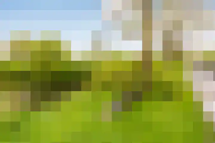 Gruttoweide 27 Wageningen thumbnail 26