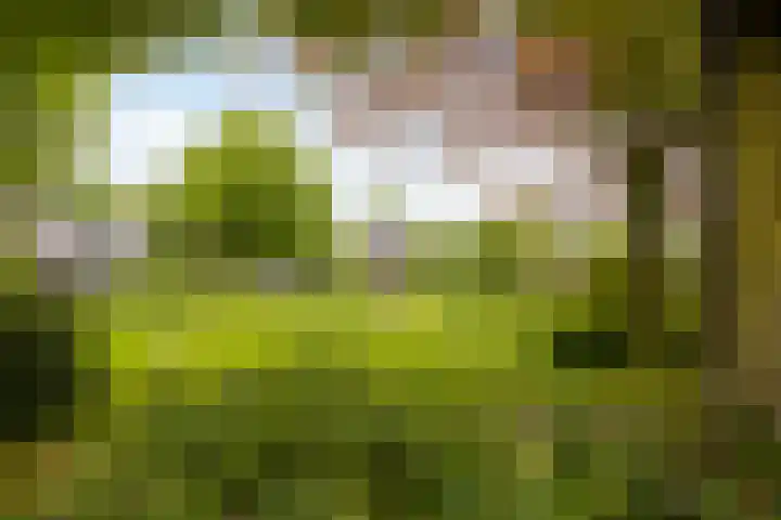 Gruttoweide 27 Wageningen thumbnail 27