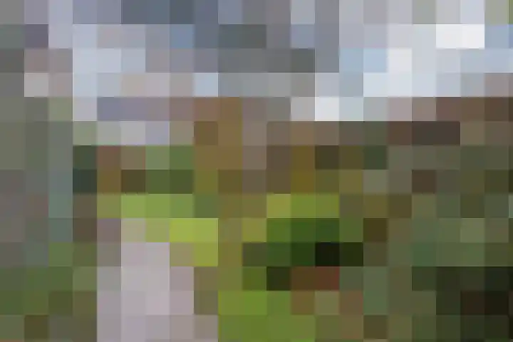 Gruttoweide 34 Wageningen thumbnail 4