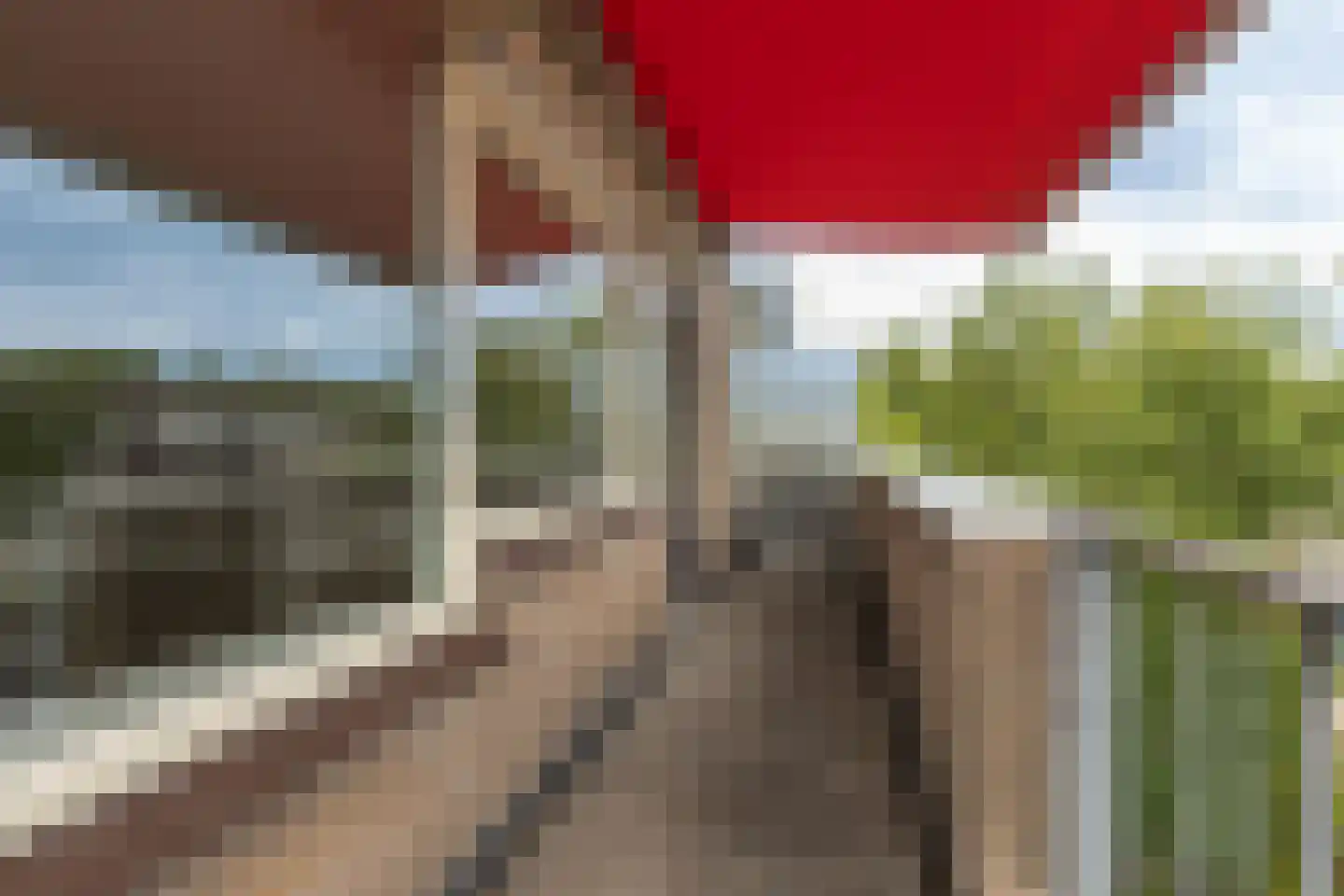 Gruttoweide 35 Wageningen thumbnail 20