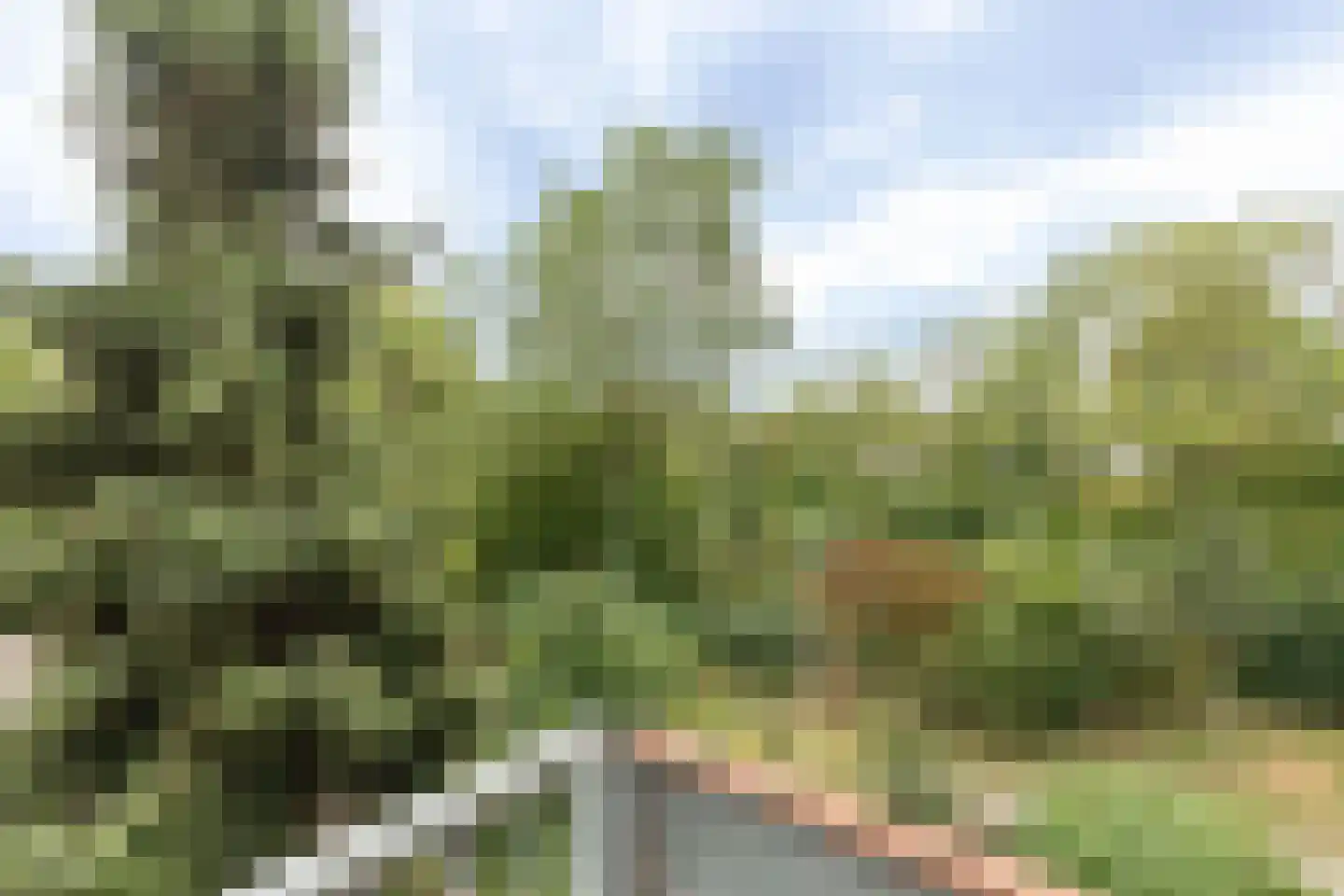 Gruttoweide 35 Wageningen thumbnail 22