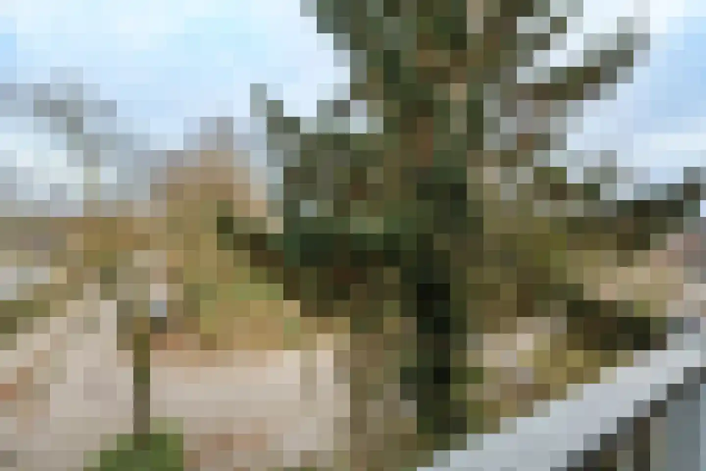 Gruttoweide 45 Wageningen thumbnail 20