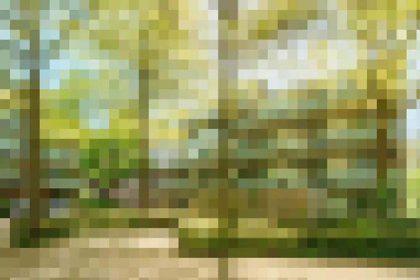 Gruttoweide 45 Wageningen thumbnail 24