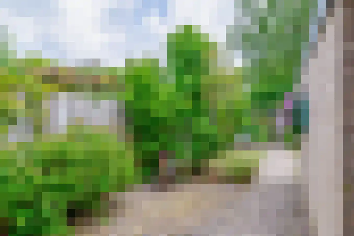 Gruttoweide 72 Wageningen thumbnail 29