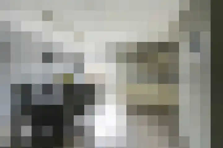 Gruttoweide 8 Houten thumbnail 6