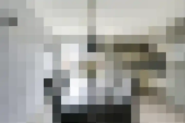Gruttoweide 8 Houten thumbnail 7