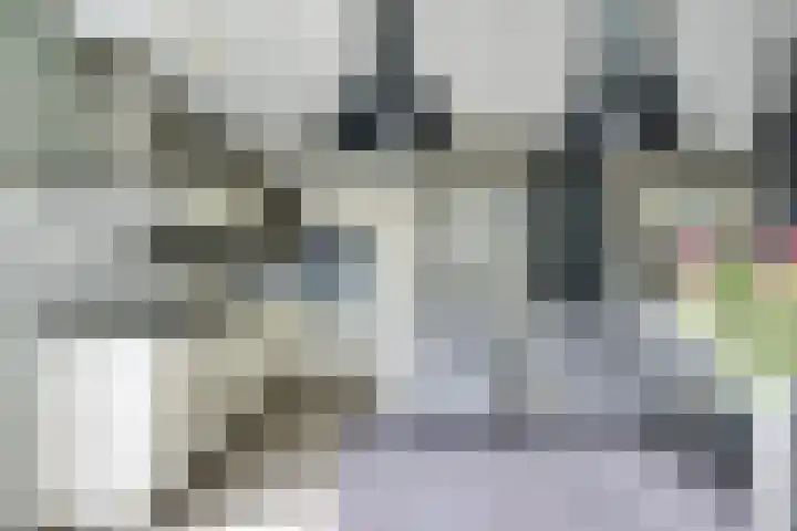 Gruttoweide 8 Houten thumbnail 9