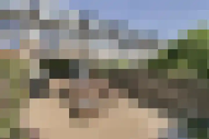 Gruttoweide 8 Wageningen thumbnail 16