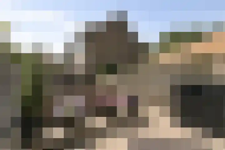 Gruttoweide 8 Wageningen thumbnail 17