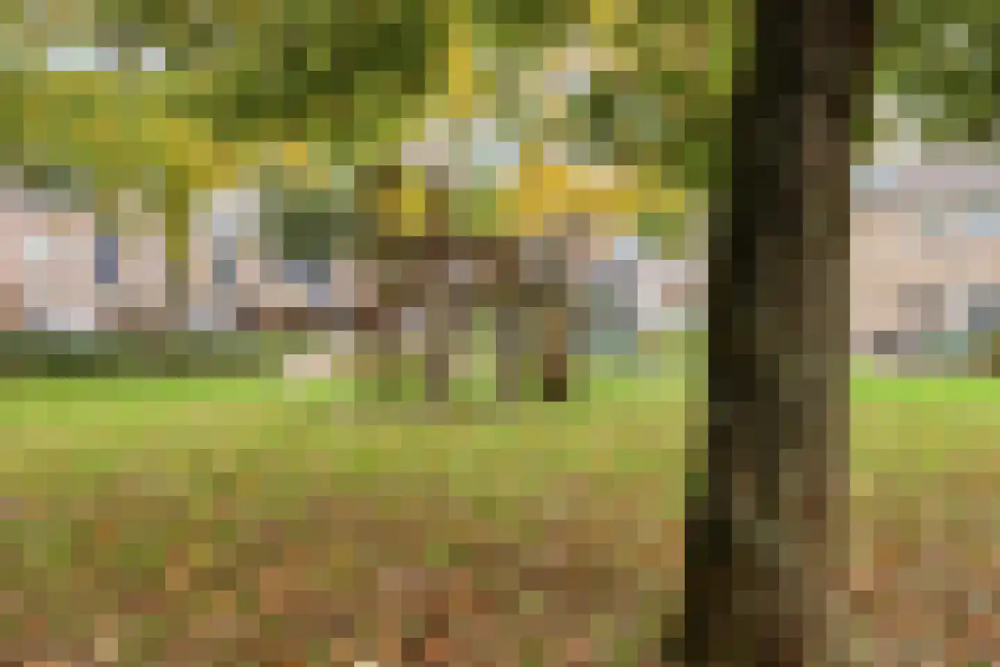 Gruttoweide 92 Wageningen thumbnail 39