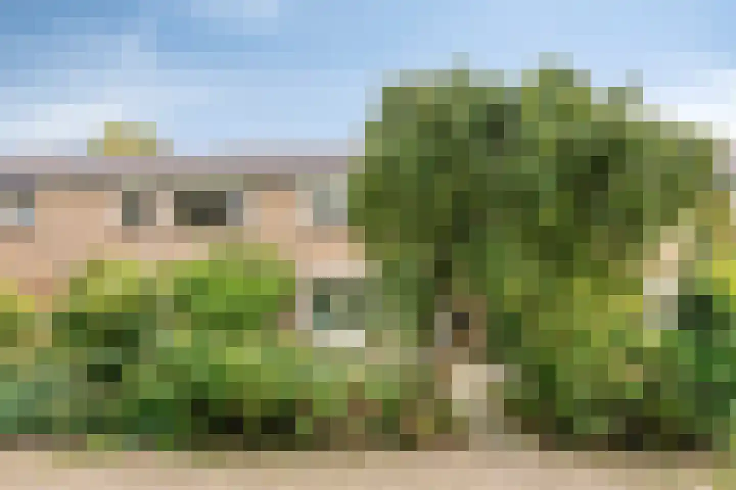 Gruttoweide 92 Wageningen thumbnail 41