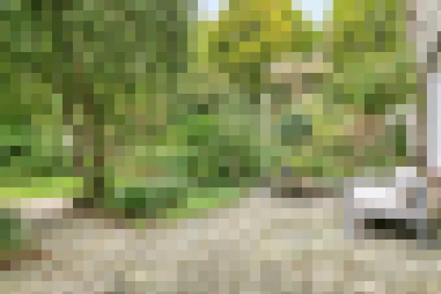 Gruttoweide 92 Wageningen thumbnail 8