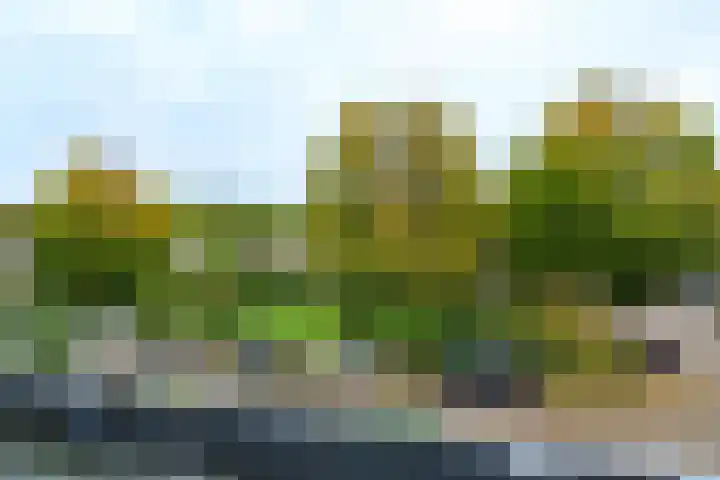 Gruttoweide 97 Wageningen thumbnail 24
