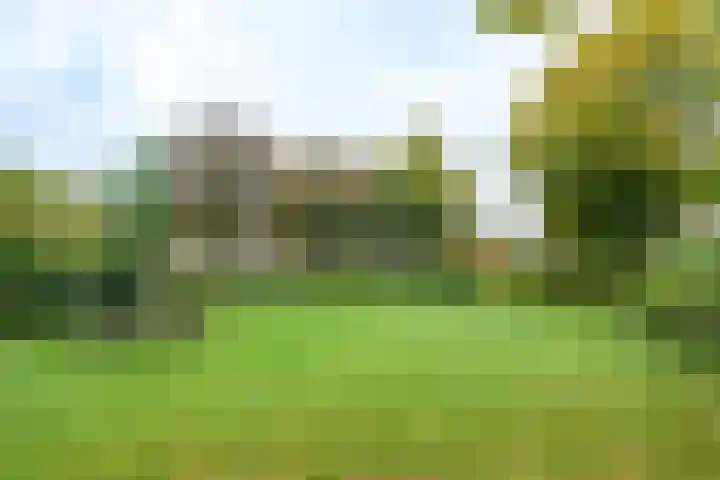 Gruttoweide 97 Wageningen thumbnail 31