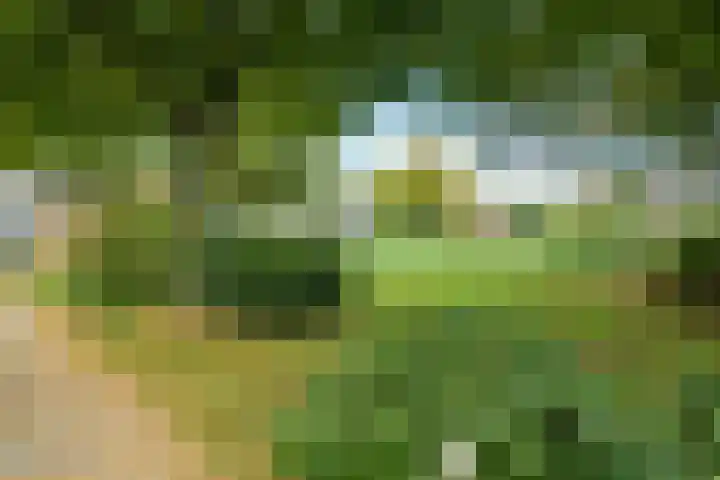 Gruttoweide 97 Wageningen thumbnail 32