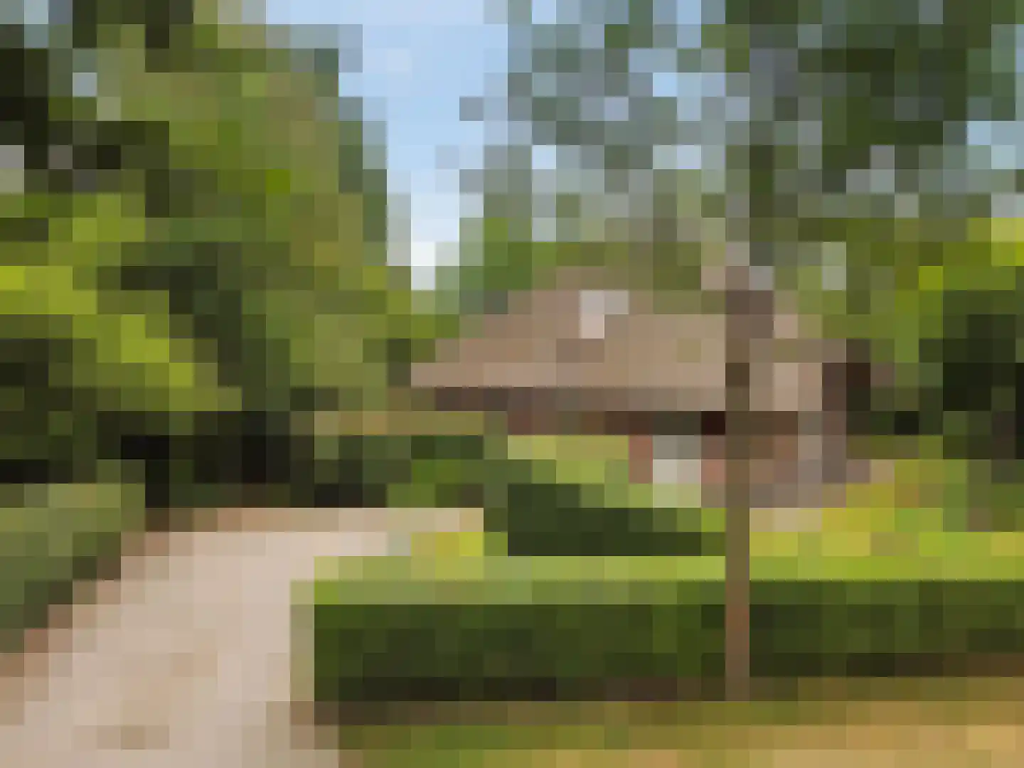 Gruun 13 Appelscha