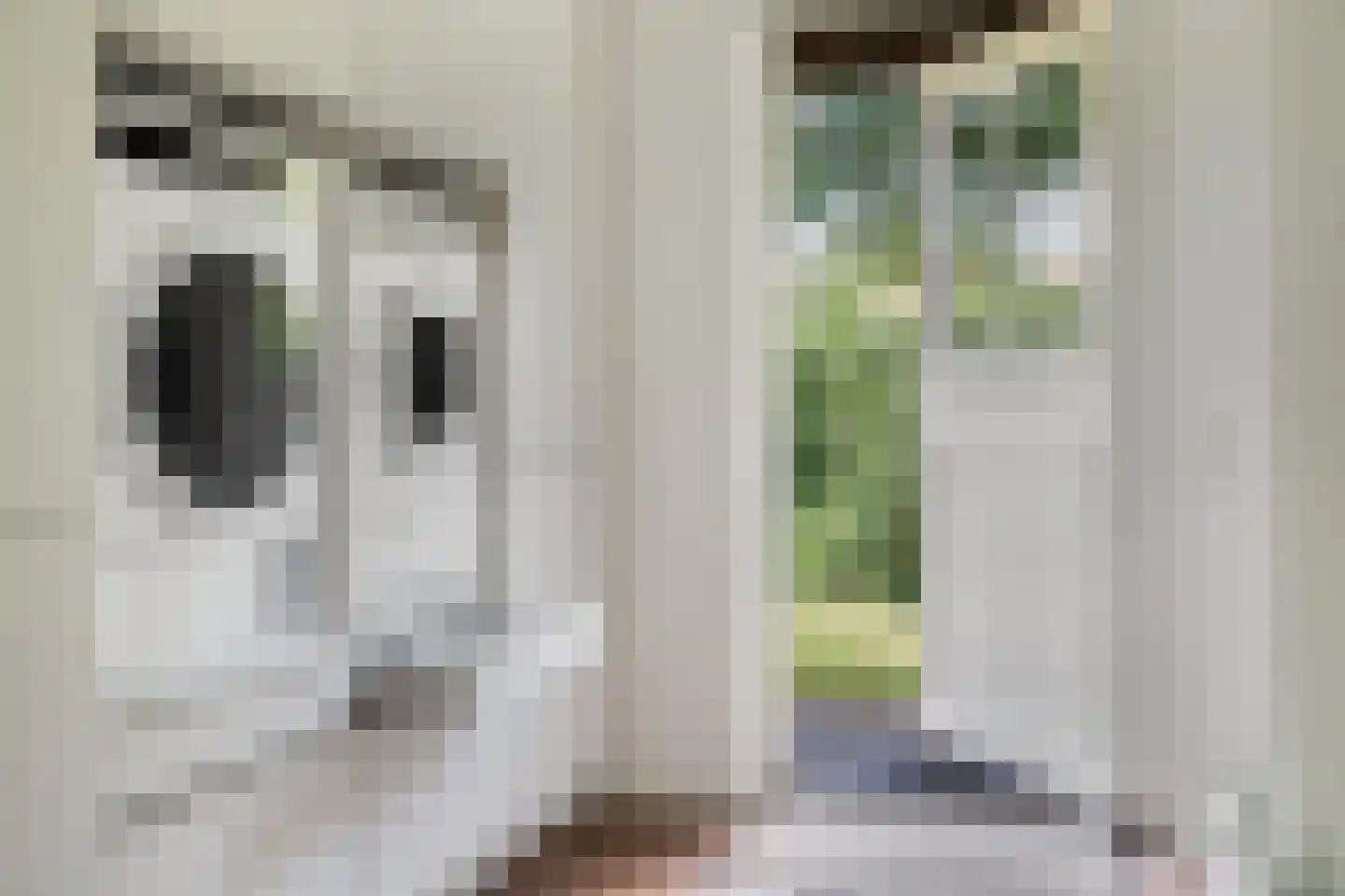 Gruun 13 Appelscha thumbnail 25