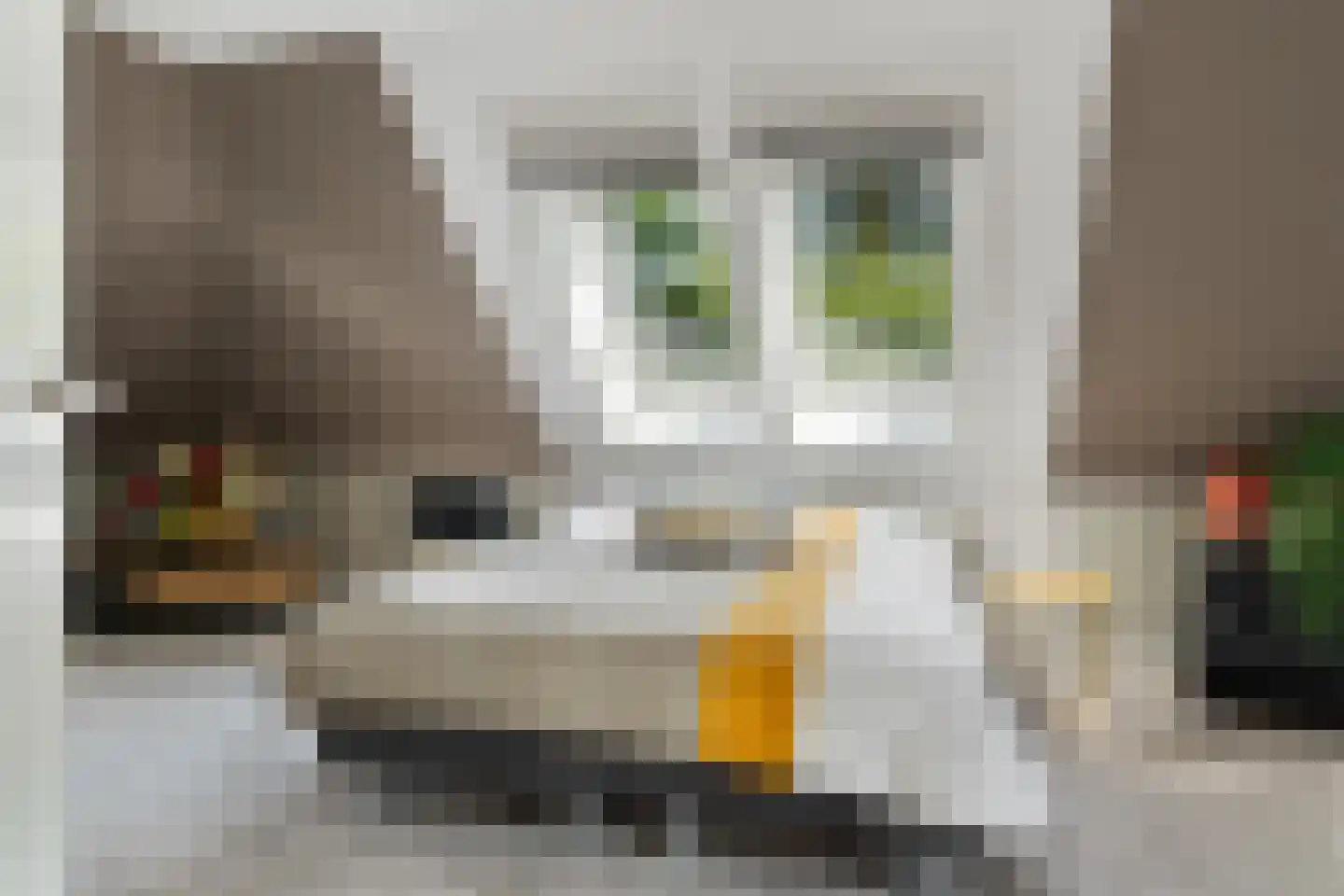 Gruun 13 Appelscha thumbnail 28