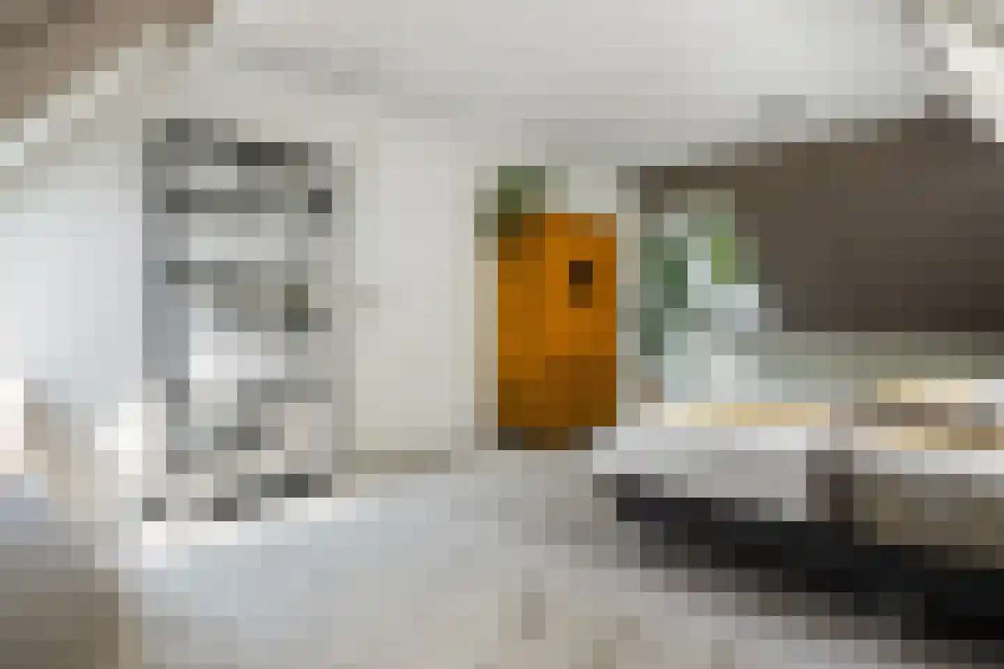 Gruun 13 Appelscha thumbnail 29