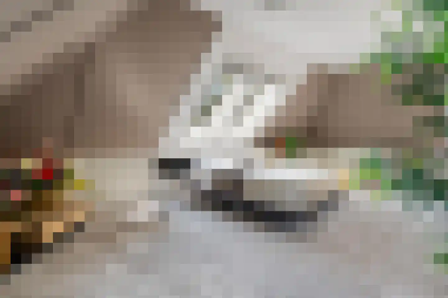 Gruun 13 Appelscha thumbnail 31