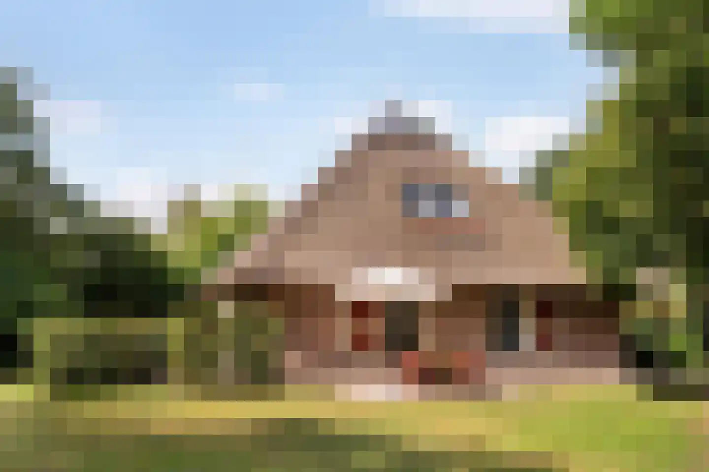 Gruun 13 Appelscha thumbnail 35
