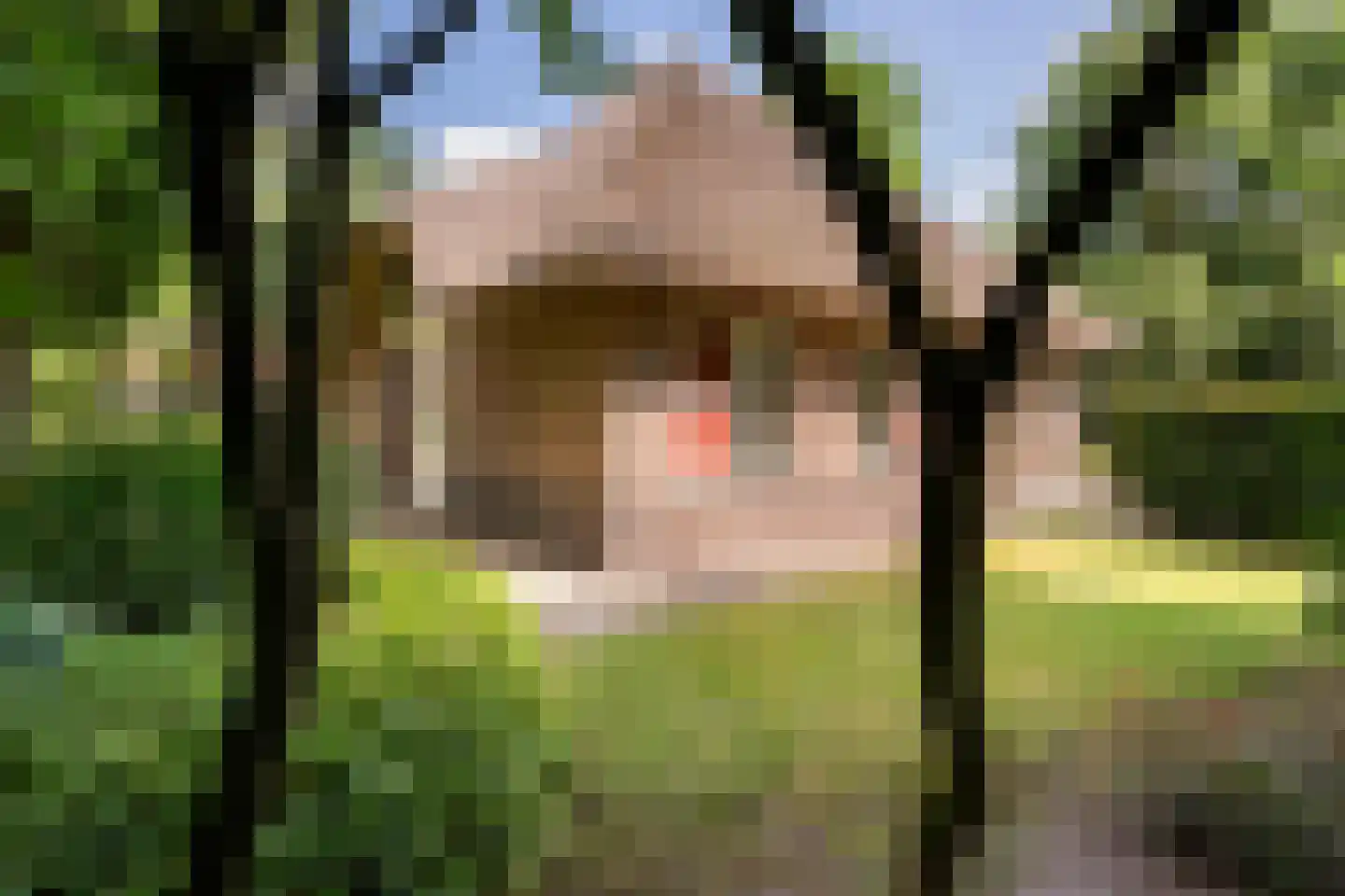 Gruun 13 Appelscha thumbnail 37