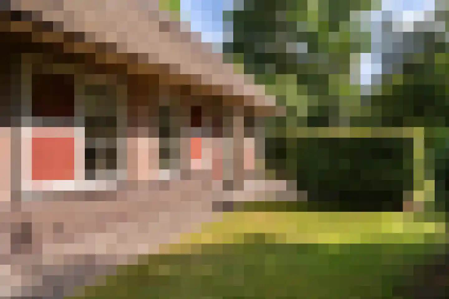 Gruun 13 Appelscha thumbnail 38