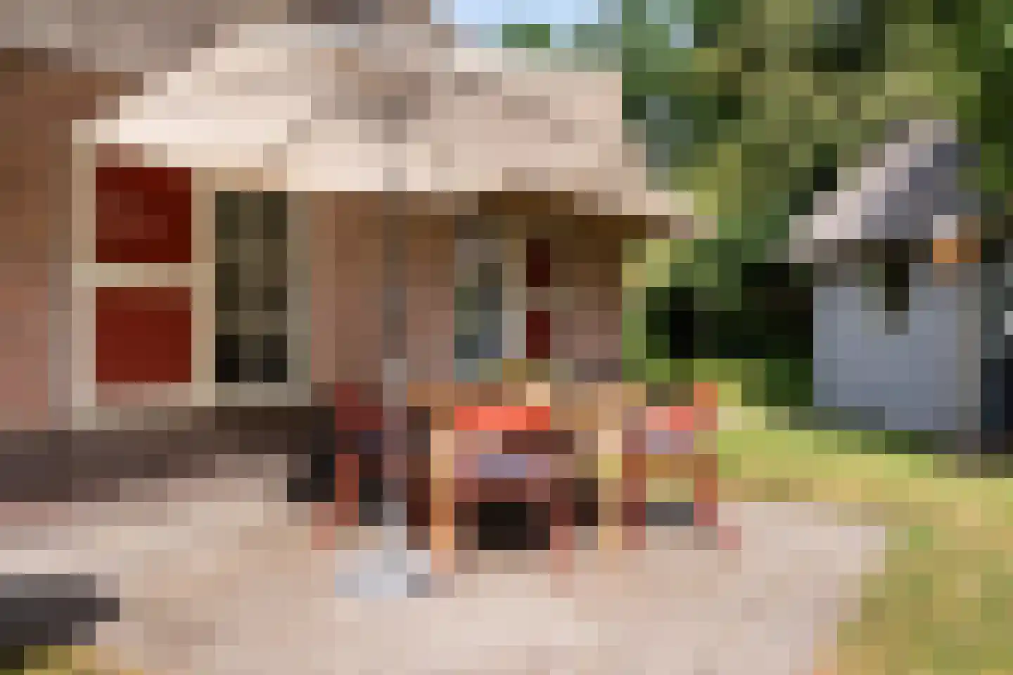 Gruun 13 Appelscha thumbnail 40