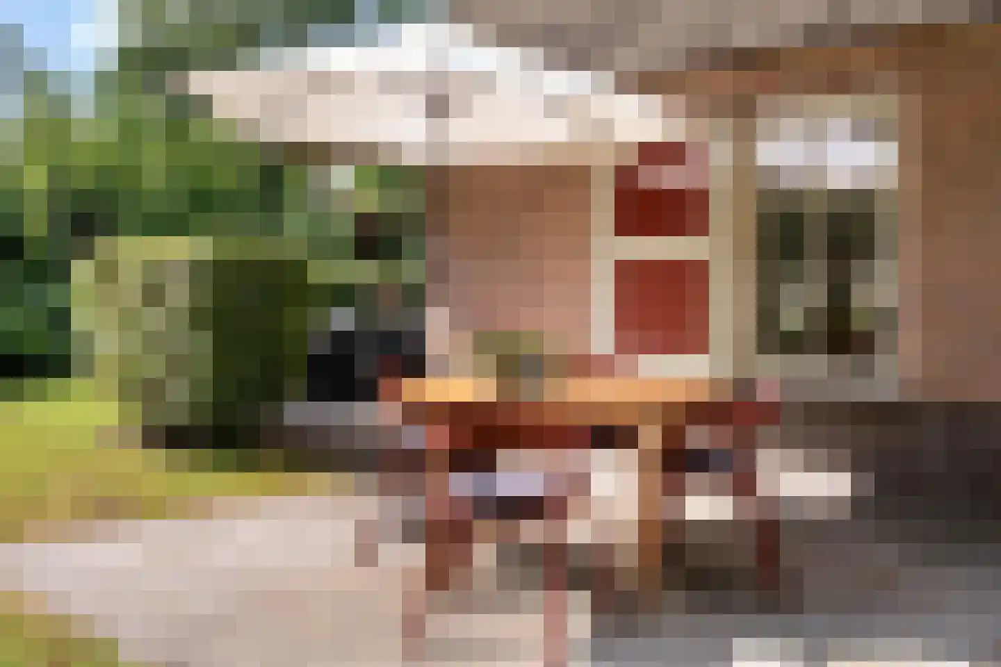 Gruun 13 Appelscha thumbnail 41