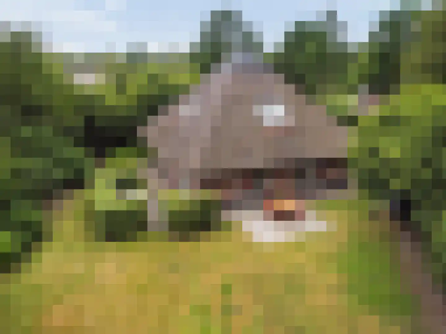 Gruun 13 Appelscha thumbnail 42