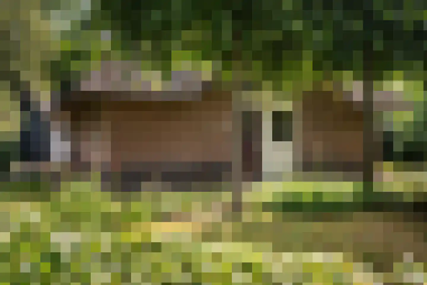 Gruun 13 Appelscha thumbnail 7