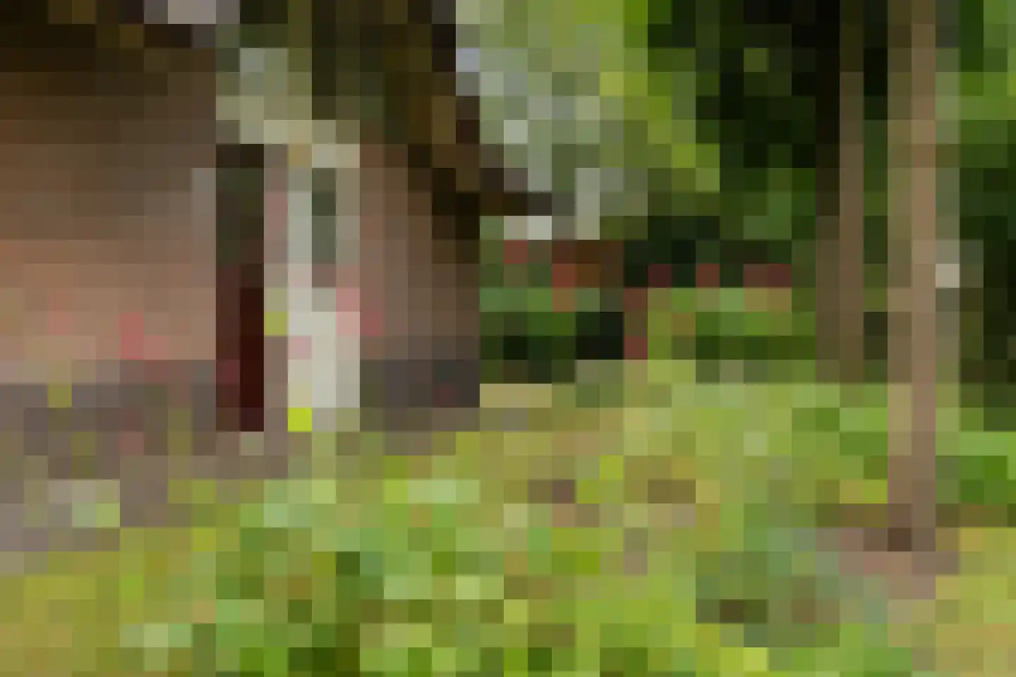Gruun 13 Appelscha thumbnail 8